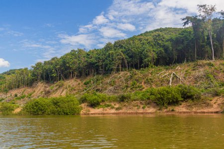 Téléchargez les photos : Les arbres sont enlevés en raison des niveaux croissants de la rivière Nam Ou pendant le remplissage du barrage Nam Ou 3, Laos - en image libre de droit