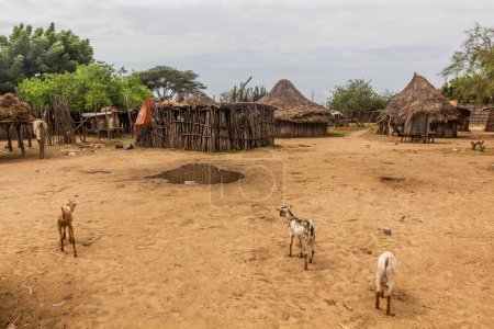 Téléchargez les photos : Cabanes du village de Korcho habitées par la tribu Karo, Éthiopie - en image libre de droit