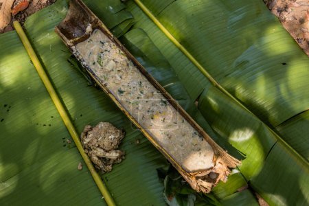 Téléchargez les photos : Des morceaux de bambou servant d'assiette à soupe dans une forêt près de la ville de Luang Namtha, Laos - en image libre de droit