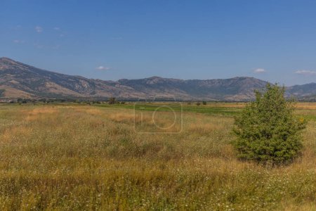 Téléchargez les photos : Paysage estival de Macédoine du Nord - en image libre de droit