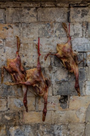 Téléchargez les photos : Canards suspendus à un mur dans le village de Xidi, province d'Anhui, Chine - en image libre de droit