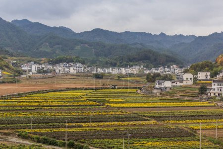 Foto de Paisaje rural de la provincia de Anhui, China - Imagen libre de derechos