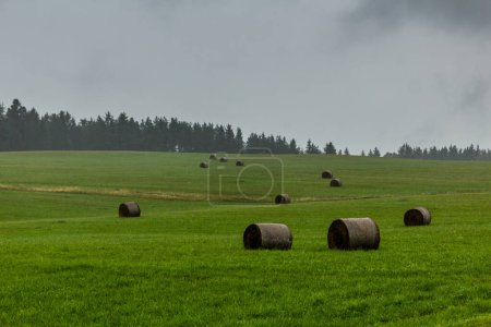 Téléchargez les photos : Prairies près du point le plus méridional de la République tchèque - en image libre de droit