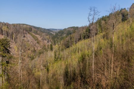 Foto de Vista del valle del río Jizera cerca de Spalov, Chequia - Imagen libre de derechos