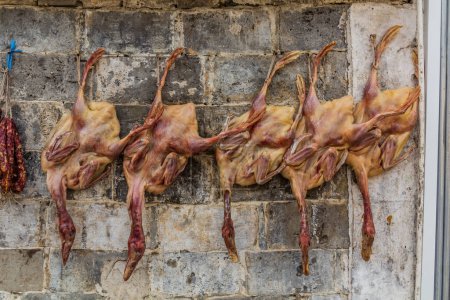 Photo for Ducks hanging on a wall in Xidi village, Anhui province, China - Royalty Free Image