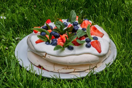 Téléchargez les photos : Pavlova gâteau sur une herbe verte luxuriante - en image libre de droit