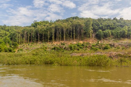 Téléchargez les photos : Les arbres sont enlevés en raison des niveaux croissants de la rivière Nam Ou pendant le remplissage du barrage Nam Ou 3, Laos - en image libre de droit