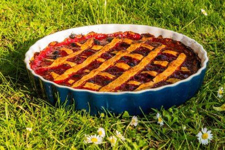 Téléchargez les photos : Gâteau aux fruits sur une herbe verte luxuriante - en image libre de droit