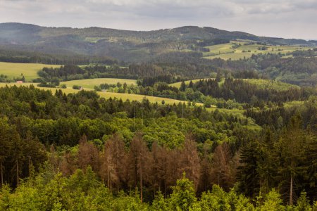 Photo for Landscape near Cervena Voda town, Czech Republic - Royalty Free Image