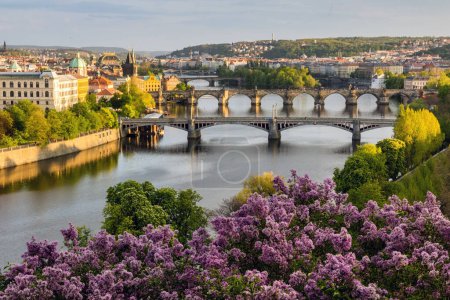 Foto de Vista de primavera de lila y puentes en Praga, República Checa - Imagen libre de derechos