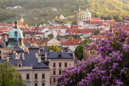 Téléchargez les photos : Vue printanière sur les lilas et Mala Strana (Petite Ville) à Prague, République tchèque - en image libre de droit