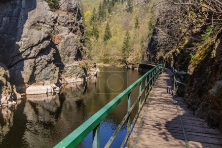 Photo for Boardwalk in Jizera river valley near Semily, part of Riegrova stezka path, Czechia - Royalty Free Image