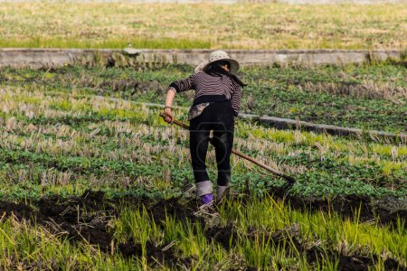 Foto de DALI, CHINA - 12 DE NOVIEMBRE DE 2019: Agricultor en un campo cerca de la antigua ciudad de Dalí, provincia de Yunnan, China - Imagen libre de derechos