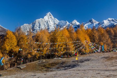 Prayer flags in Haizi valley near Siguniang mountain in Sichuan province, China
