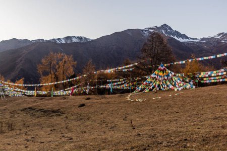 Téléchargez les photos : Drapeaux de prière dans la vallée de Haizi près de la montagne Siguniang dans la province du Sichuan, Chine - en image libre de droit
