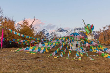 Photo for Stupa with prayer flags in Haizi valley near Siguniang mountain in Sichuan province, China - Royalty Free Image