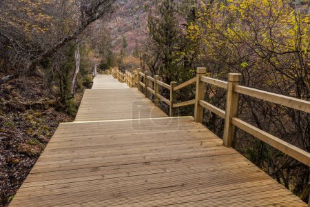 Photo for Boardwalk in Changping valley near Siguniang mountain in Sichuan province, China - Royalty Free Image