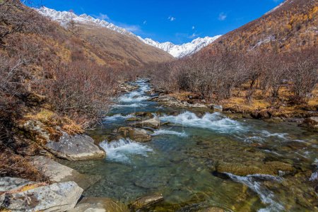 Téléchargez les photos : Rivière dans la vallée de Haizi près de la montagne Siguniang dans la province du Sichuan, Chine - en image libre de droit