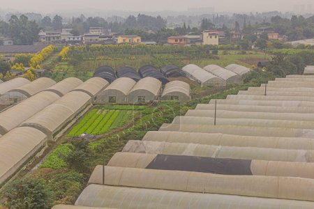 Photo for Greenhouses near Chengdu, China - Royalty Free Image