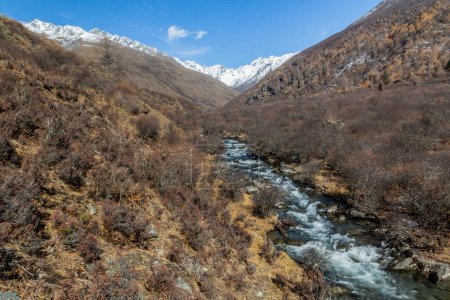 Téléchargez les photos : Rivière dans la vallée de Haizi près de la montagne Siguniang dans la province du Sichuan, Chine - en image libre de droit