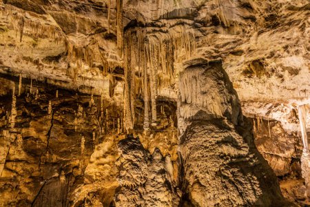 Téléchargez les photos : Grotte de Punkevni dans la région du Karst morave, République tchèque - en image libre de droit