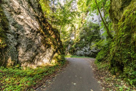 Photo for Road in Pusty zleb valley in Moravian Karst region, Czech Republic - Royalty Free Image