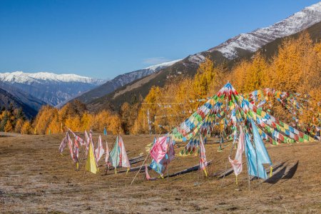 Téléchargez les photos : Drapeaux de prière dans la vallée de Haizi près de la montagne Siguniang dans la province du Sichuan, Chine - en image libre de droit