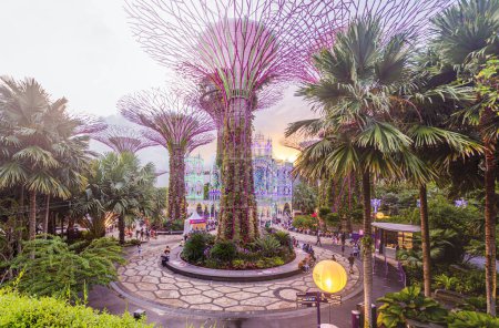 Téléchargez les photos : SINGAPOUR, SINGAPOUR - 16 DÉCEMBRE 2019 : Le pays des merveilles de Noël au Gardens by the Bay à Singapour. - en image libre de droit