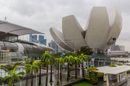 Photo for SINGAPORE, SINGAPORE - DECEMBER 17, 2019: ArtScience Museum in Marina Bay in Singapore - Royalty Free Image