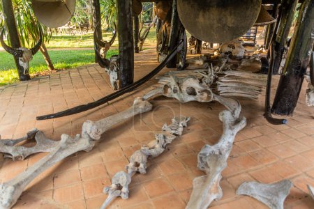 Photo for CHIANG RAI, THAILAND - NOVEMBER 30, 2019:  Elephant skeleton in the Baan Dam Museum (Black House) in Chiang Rai province, Thailand - Royalty Free Image