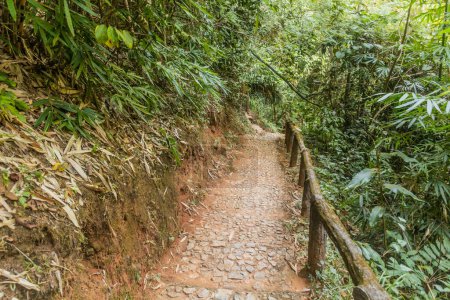 Path to Huai Mae Sai waterfall near Chiang Rai, Thailand