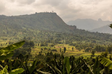 Téléchargez les photos : Paysage rural près de Budadiri, Ouganda - en image libre de droit