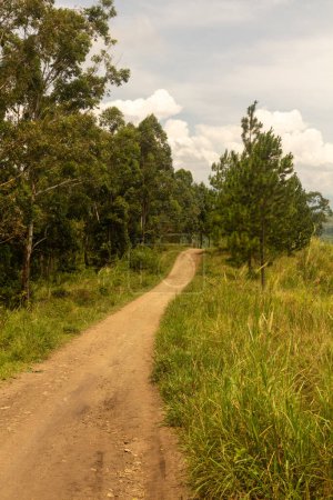 Téléchargez les photos : Route rurale dans la région des lacs de cratère près de Fort Portal, Ouganda - en image libre de droit