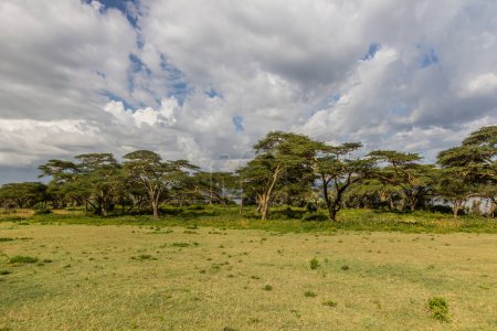 Téléchargez les photos : Paysage du sanctuaire de gibier de Crescent Island sur le lac Naivasha, Kenya - en image libre de droit