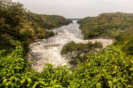 Foto de Río Victoria Nilo bajo Murchison Falls, Uganda - Imagen libre de derechos