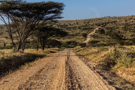 Photo for Gravel road near South Horr village, Kenya - Royalty Free Image
