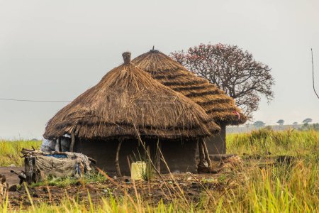 Téléchargez les photos : Maisons rurales dans le nord de l'Ouganda - en image libre de droit