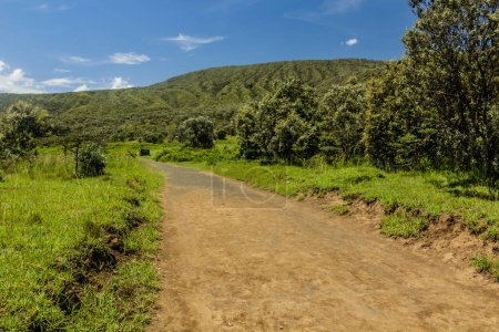 Téléchargez les photos : Sentier pédestre dans le parc national Longonot, Kenya - en image libre de droit