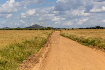 Photo for Tracks in Masai Mara National Reserve, Kenya - Royalty Free Image