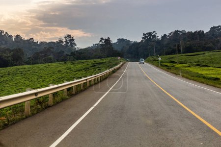 Téléchargez les photos : Mubende - route Fort Portal à travers les plantations de thé, Ouganda - en image libre de droit