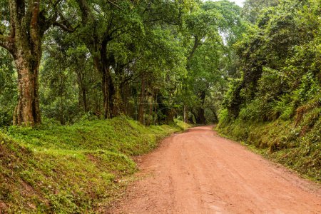 Photo for Road between Kabale town and Bunyonyi lake, Uganda - Royalty Free Image