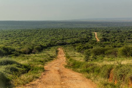 Téléchargez les photos : Route de gravier près du village de South Horr, Kenya - en image libre de droit