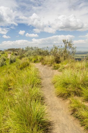 Téléchargez les photos : Sentier de randonnée sur le bord du cratère volcan Longonot, Kenya - en image libre de droit