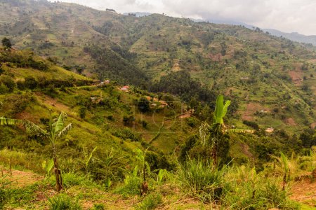 Photo for Lush landscape near Kilembe village, Uganda - Royalty Free Image