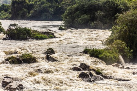 Photo for Karuma Falls on Victoria Nile, Uganda - Royalty Free Image