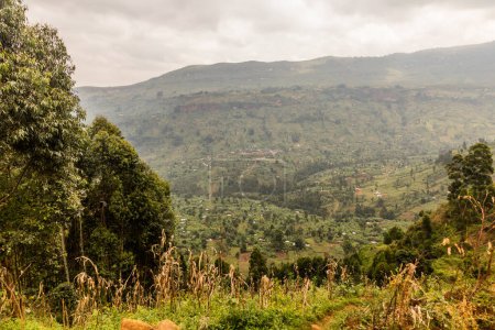 Photo for Rural landscape near Mount Elgon, Uganda - Royalty Free Image