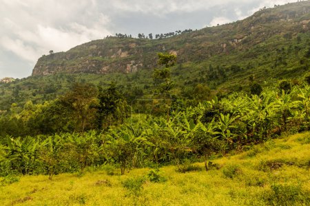 Photo for Rural landscape near Mount Elgon, Uganda - Royalty Free Image