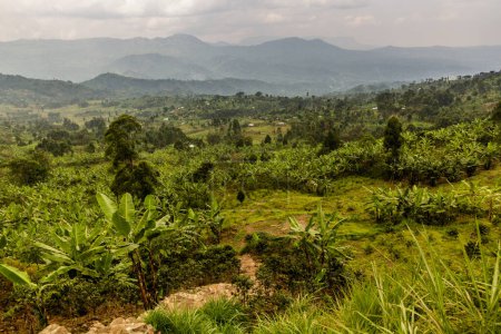 Téléchargez les photos : Paysage rural près de Mount Elgon, Ouganda - en image libre de droit