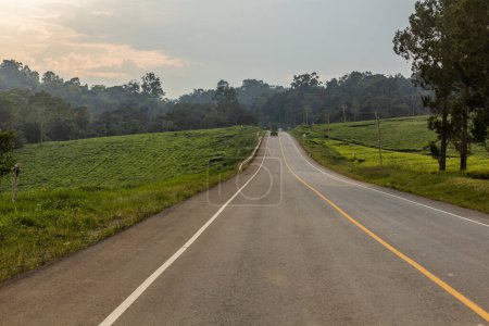 Téléchargez les photos : Mubende - route Fort Portal à travers les plantations de thé, Ouganda - en image libre de droit