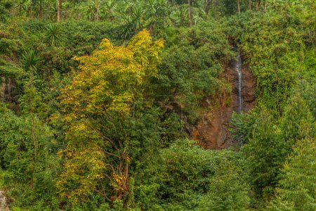 Téléchargez les photos : Petite cascade près du village de Sipi, Ouganda - en image libre de droit